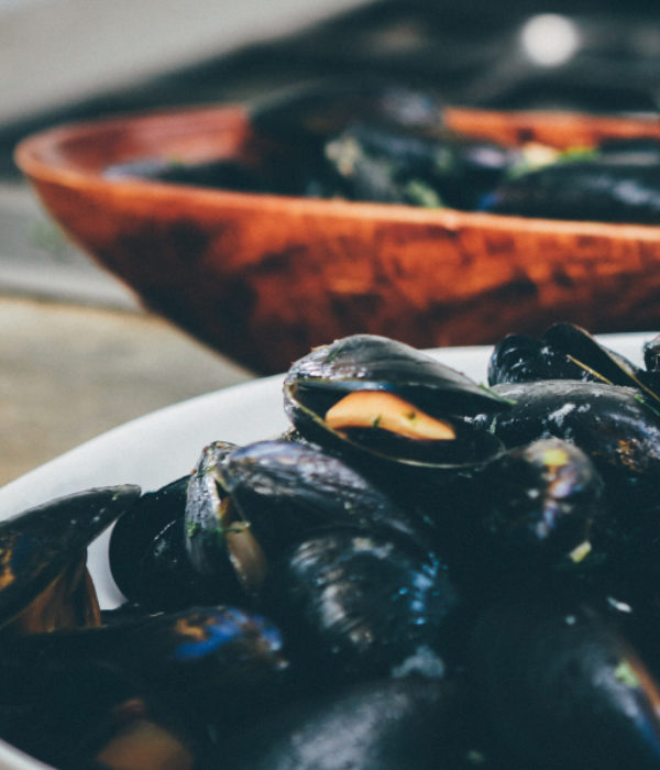 moules de bouchot 1