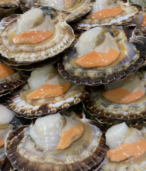 coquilles saint jacques à deguster